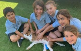 St Margaret Mary's Randwick North - students patting a puppy