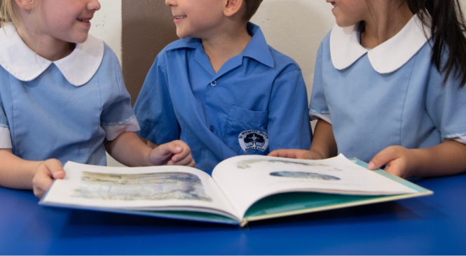 A photo showing students learning on their journey to achieving strong NAPLAN gains at St Margaret Mary's